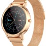 Смарт-часы Hoco Y8 Smart Watch 1.28"/240х240/220mAh/72ч/BT5.0 золотые