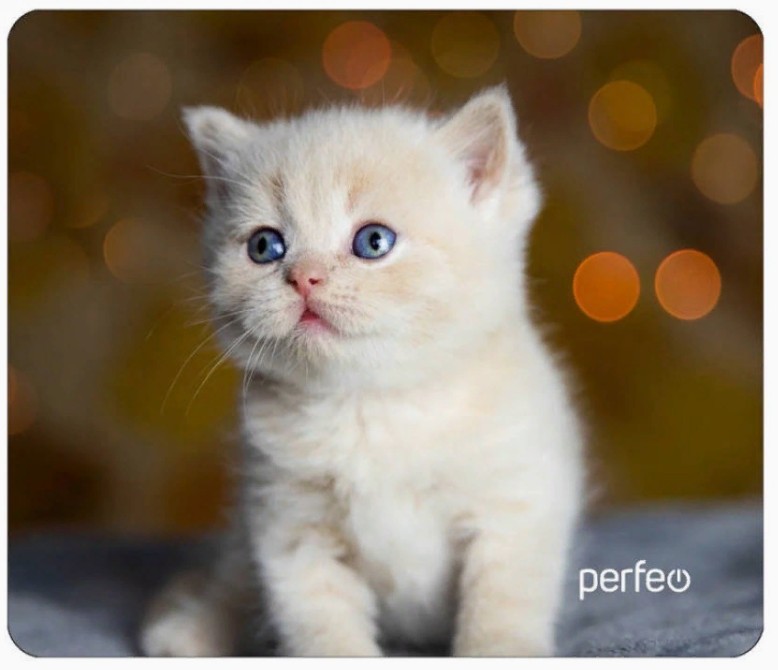 Perfeo Коврик для компьютерной мыши "Cat", Рис.17 (240*200*2 мм), ткань+резиновое основание