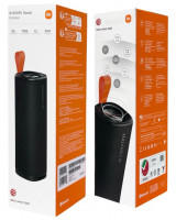 Bluetooth колонка Xiaomi Sound Outdoor 30W MDZ-38-DB (Global) черная