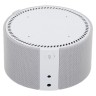 Умная колонка Яндекс Станция Мини 2 с часами серая