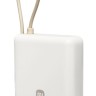 Powerbank Xiaomi Mi Power Bank 10000mAh 33W PB1033MI бежевый