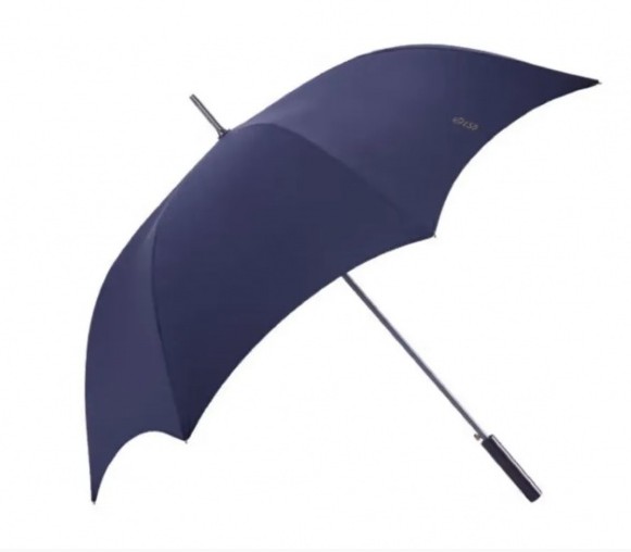 Зонт Xiaomi Pinlo Retro Long-Handled Umbrella (LSDZBS02XM) синий