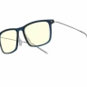 Компьютерные очки Xiaomi Adult Anti-Blue Goggles Pro (HMJ02TS) синий